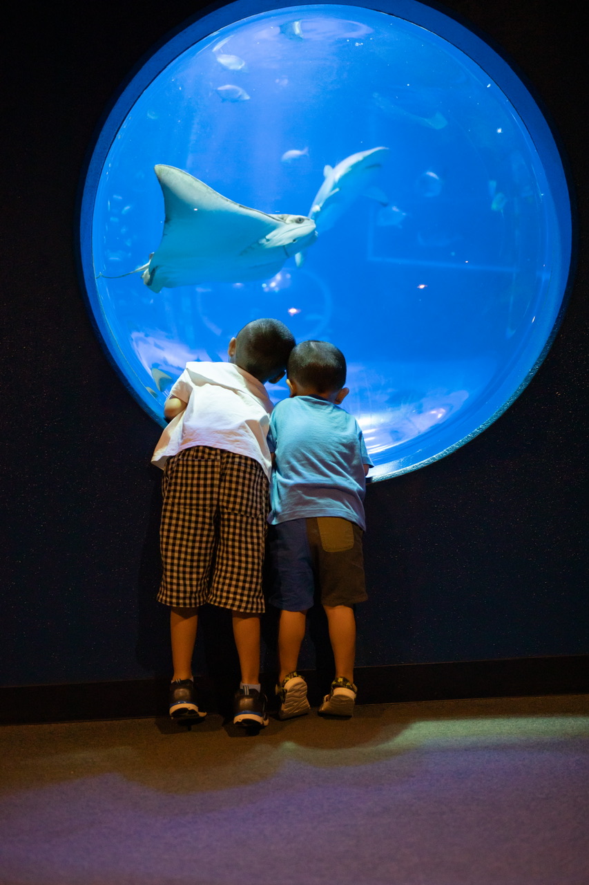 「水族館を満喫したよ?」kirakiraさん